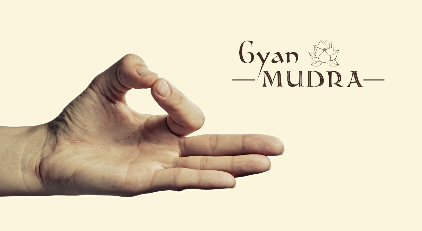 Le Gyan Mudra : une position de yoga des doigts